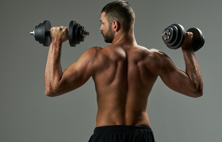 Alterar treino musculação